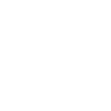 Bespoke Mentis